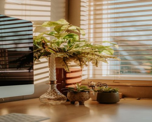 Cozy home office setup with natural light and a plant